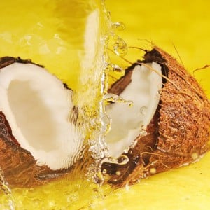 Фотография кокоса